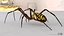 3D model Rigged wasp spider