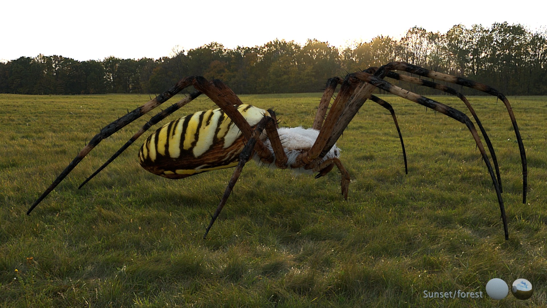3D model Rigged wasp spider https://p.turbosquid.com/ts-thumb/J6/XV98wA/ae/004/jpg/1672993987/1920x1080/fit_q87/d4f030d9ee191f314898b3bdac6dcffebc442f3b/004.jpg