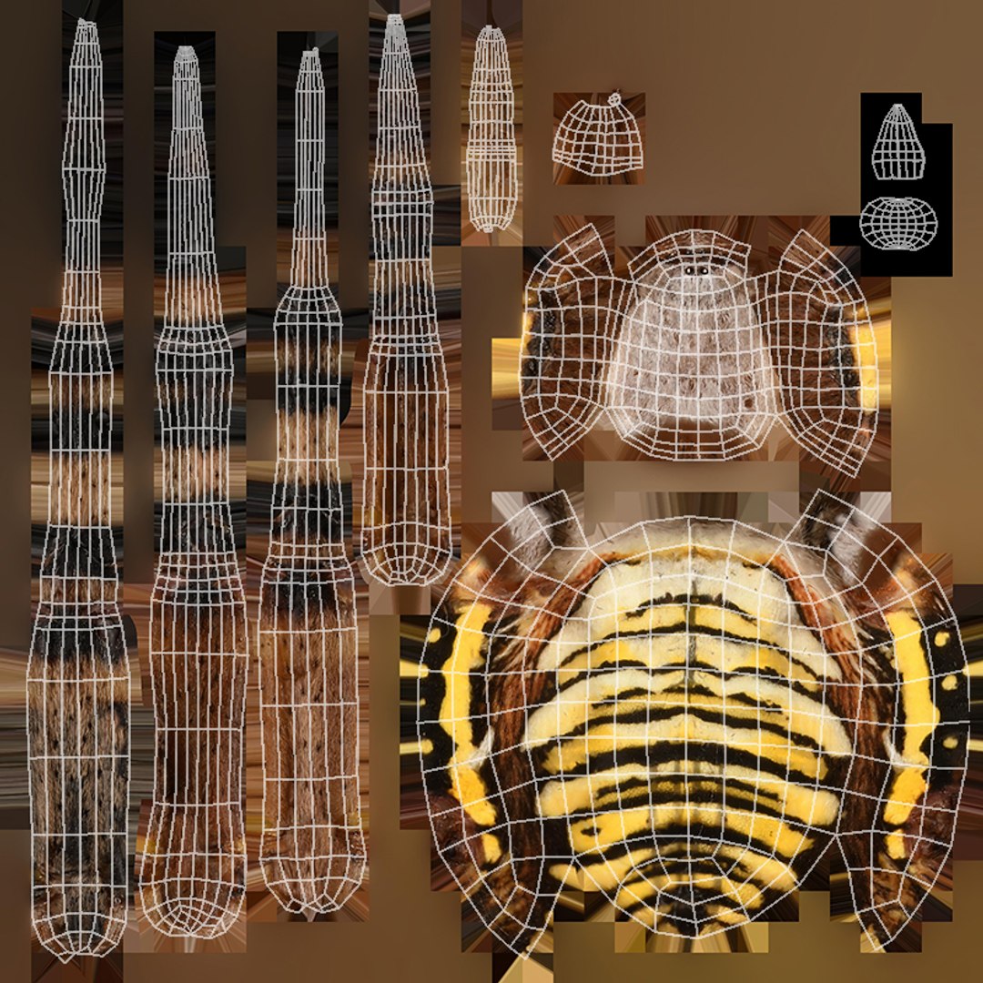 3D model Rigged wasp spider https://p.turbosquid.com/ts-thumb/J6/XV98wA/hG/028/jpg/1672993984/1920x1080/fit_q87/6d3fe996deea89a26d256ac672645574c0f3c710/028.jpg