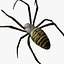 3D model Rigged wasp spider