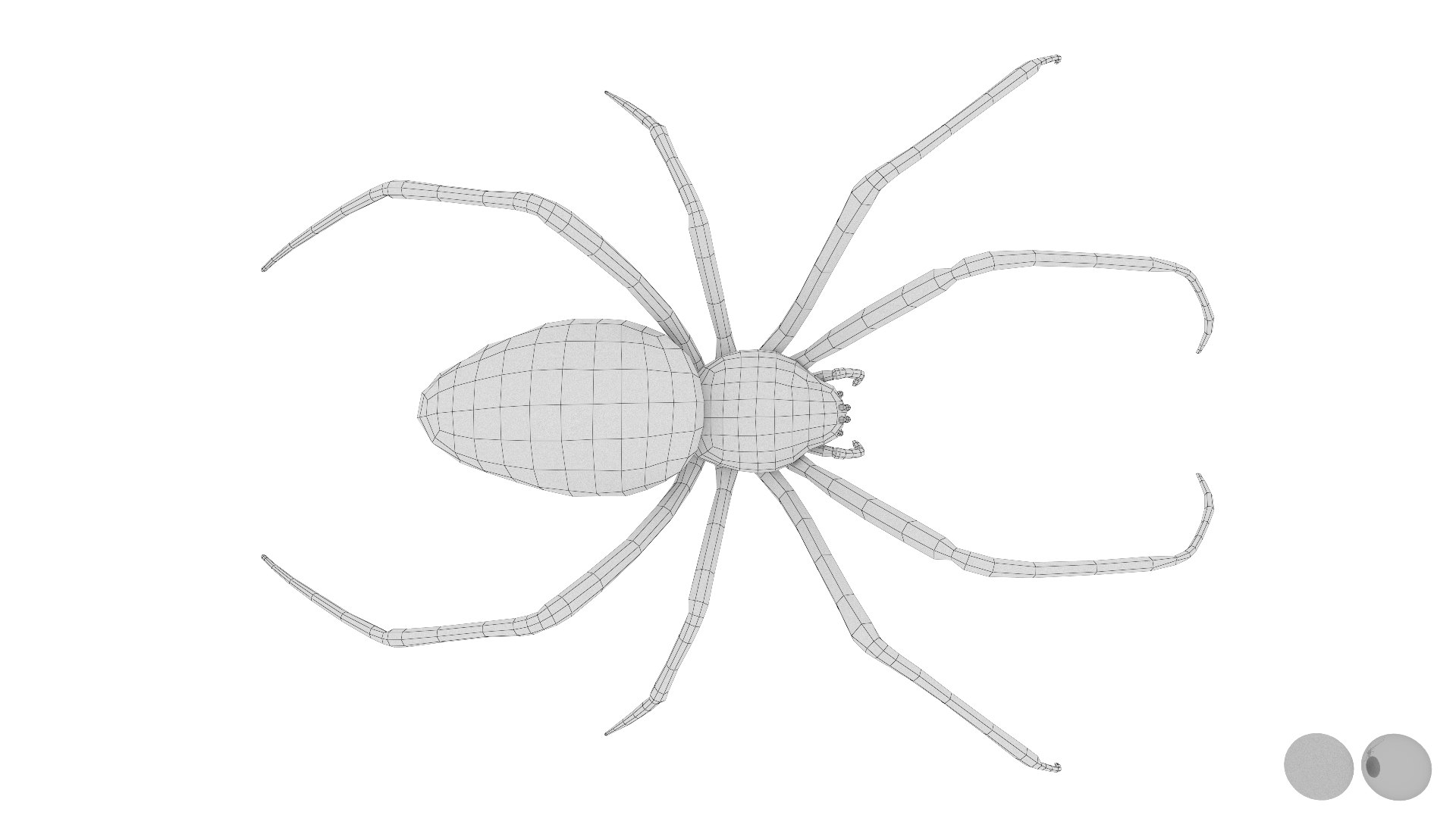 3D model Rigged wasp spider https://p.turbosquid.com/ts-thumb/J6/XV98wA/nt/026/jpg/1672993983/1920x1080/fit_q87/8e06dc48a0f574f9b03cff278e0ab37d46c0d283/026.jpg