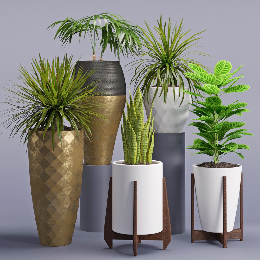 3D Model Houseplant 28 - TurboSquid 1308066