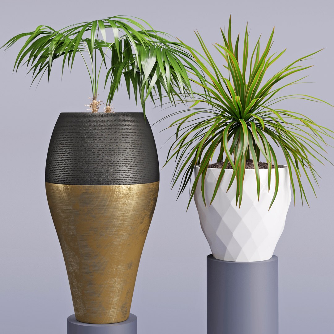 3D model houseplant 28 https://p.turbosquid.com/ts-thumb/J6/l65phV/MKEBsJyJ/4/jpg/1531972221/1920x1080/fit_q87/76560c3f06aece4f2edcc4fa90203767eb1c6d7e/4.jpg