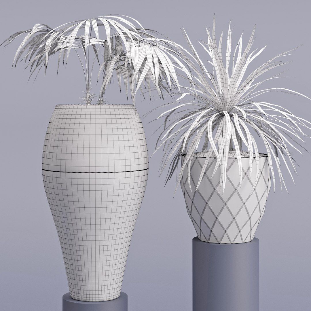 3D model houseplant 28 https://p.turbosquid.com/ts-thumb/J6/l65phV/uafsT6ug/5/jpg/1531972221/1920x1080/fit_q87/b9effc95ee4561acf3268a76b126ce8458f2927c/5.jpg