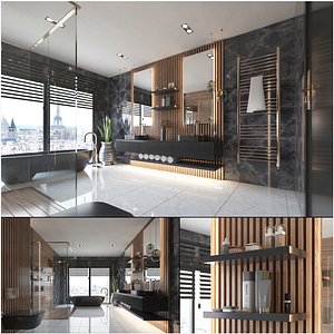 3D Luxury Bathroom Interior model