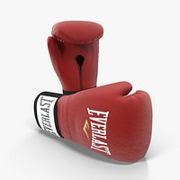 Everlast Boxing Gloves
