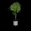 3D model indoor plant
