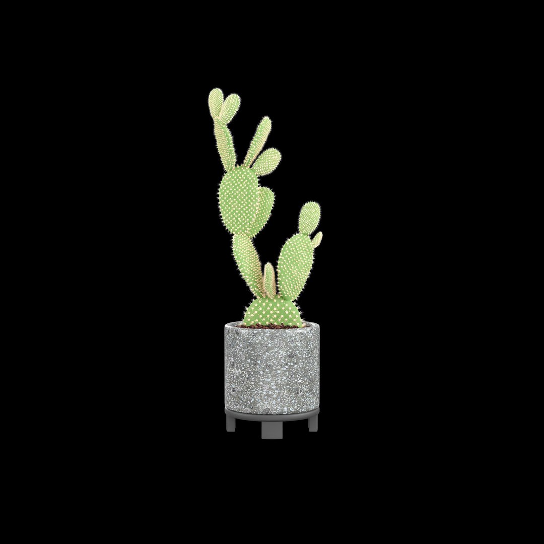 3D model indoor plant https://p.turbosquid.com/ts-thumb/J7/R50Gsv/A6/0008/jpg/1746987736/1920x1080/fit_q87/5bae1a762d5036eb309ff8233a9f3c04ccc9e2af/0008.jpg