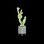 3D model indoor plant