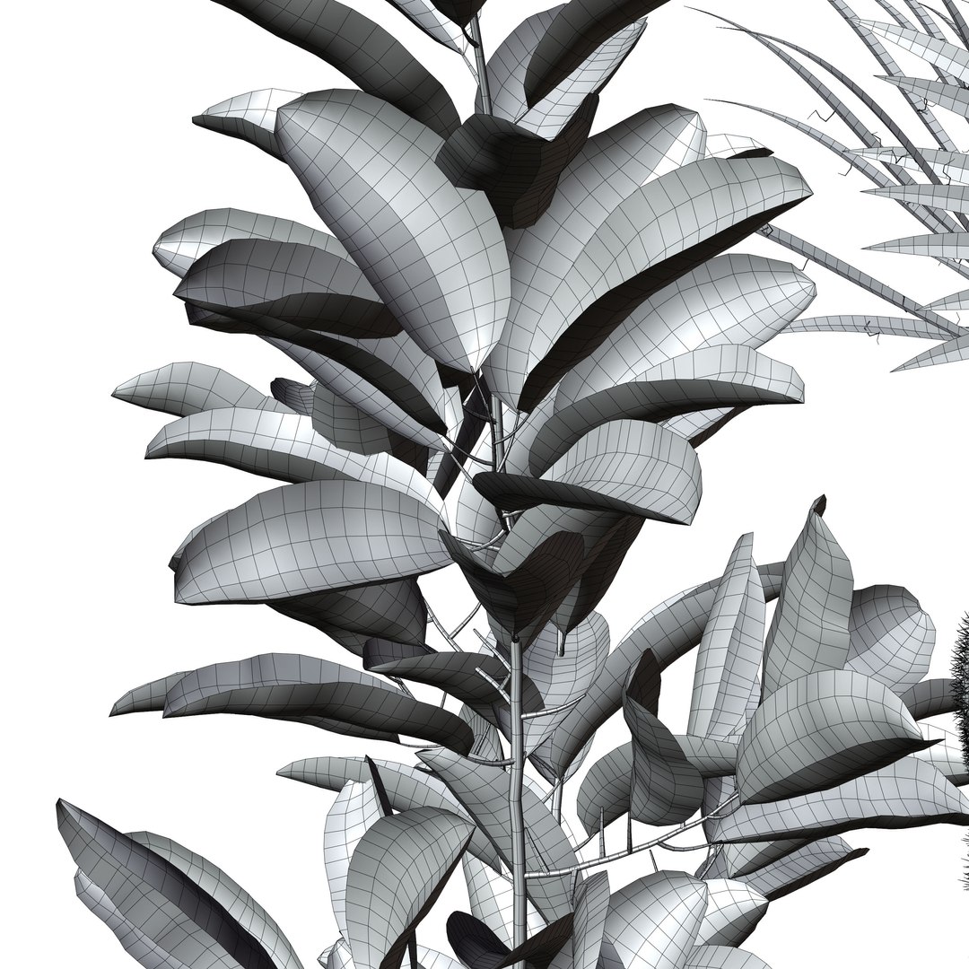 3D model indoor plant https://p.turbosquid.com/ts-thumb/J7/R50Gsv/Ak/4/jpg/1746987744/1920x1080/fit_q87/b5c09885e42a5234ec6ae951043ba789b60c8939/4.jpg