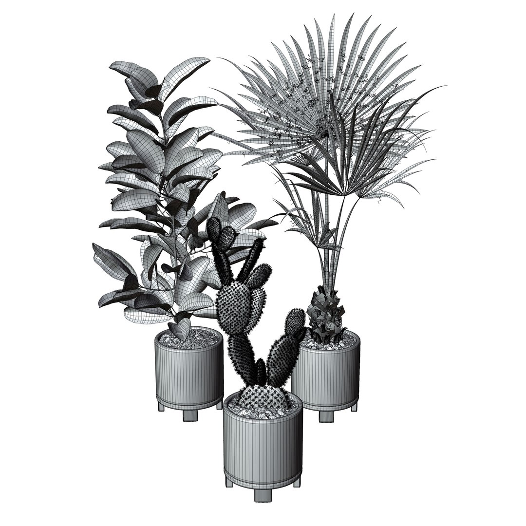 3D model indoor plant https://p.turbosquid.com/ts-thumb/J7/R50Gsv/Hh/2/jpg/1746987742/1920x1080/fit_q87/d145290378c9c238e014366e13becc8d5eaf3ec2/2.jpg
