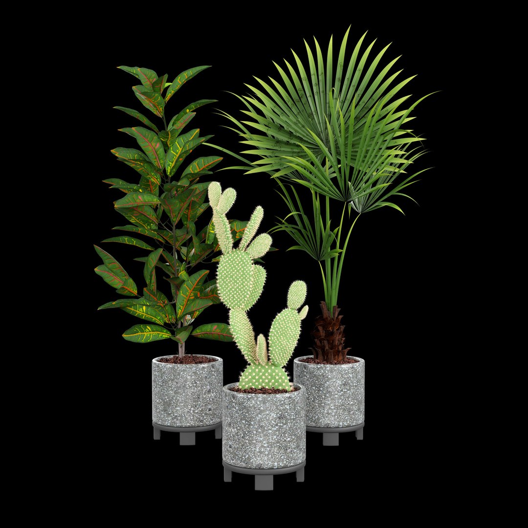 3D model indoor plant https://p.turbosquid.com/ts-thumb/J7/R50Gsv/JT/0001/jpg/1746987682/1920x1080/fit_q87/2f4ef6909e514c8bb5c8a6f95d5f27a7955b87d1/0001.jpg
