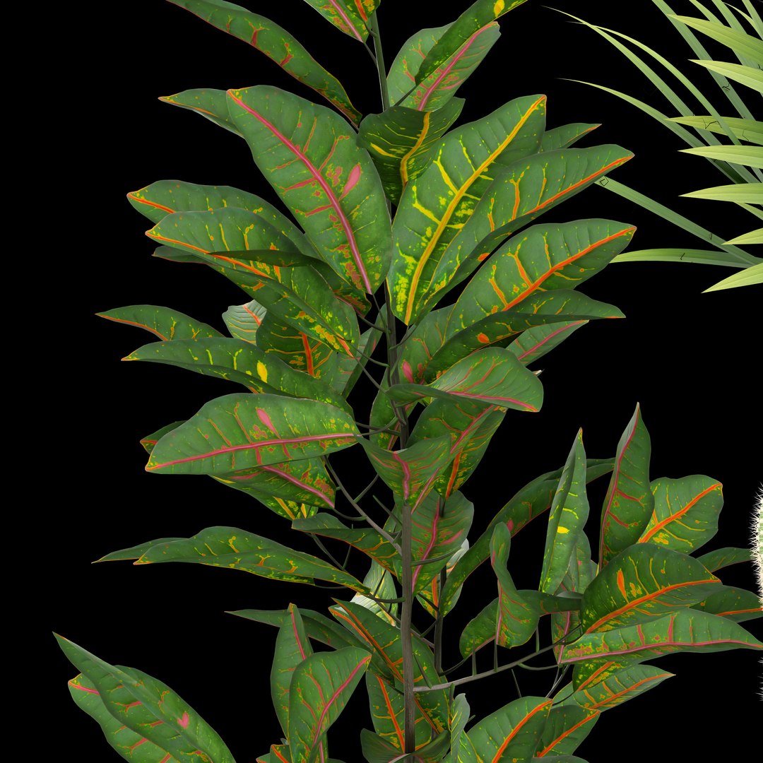 3D model indoor plant https://p.turbosquid.com/ts-thumb/J7/R50Gsv/M2/0004/jpg/1746987729/1920x1080/fit_q87/b33ce264f62c6551d3d0e35092b943dd0770fc86/0004.jpg