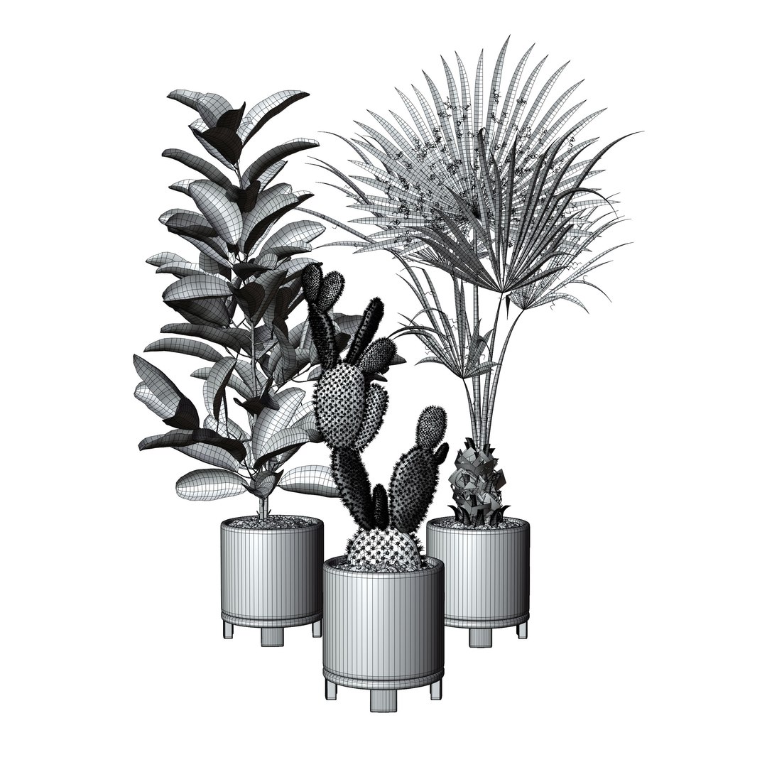 3D model indoor plant https://p.turbosquid.com/ts-thumb/J7/R50Gsv/bz/1/jpg/1746987739/1920x1080/fit_q87/16388fa9f6cee24ab9f5af9f289876963c0f7f5a/1.jpg