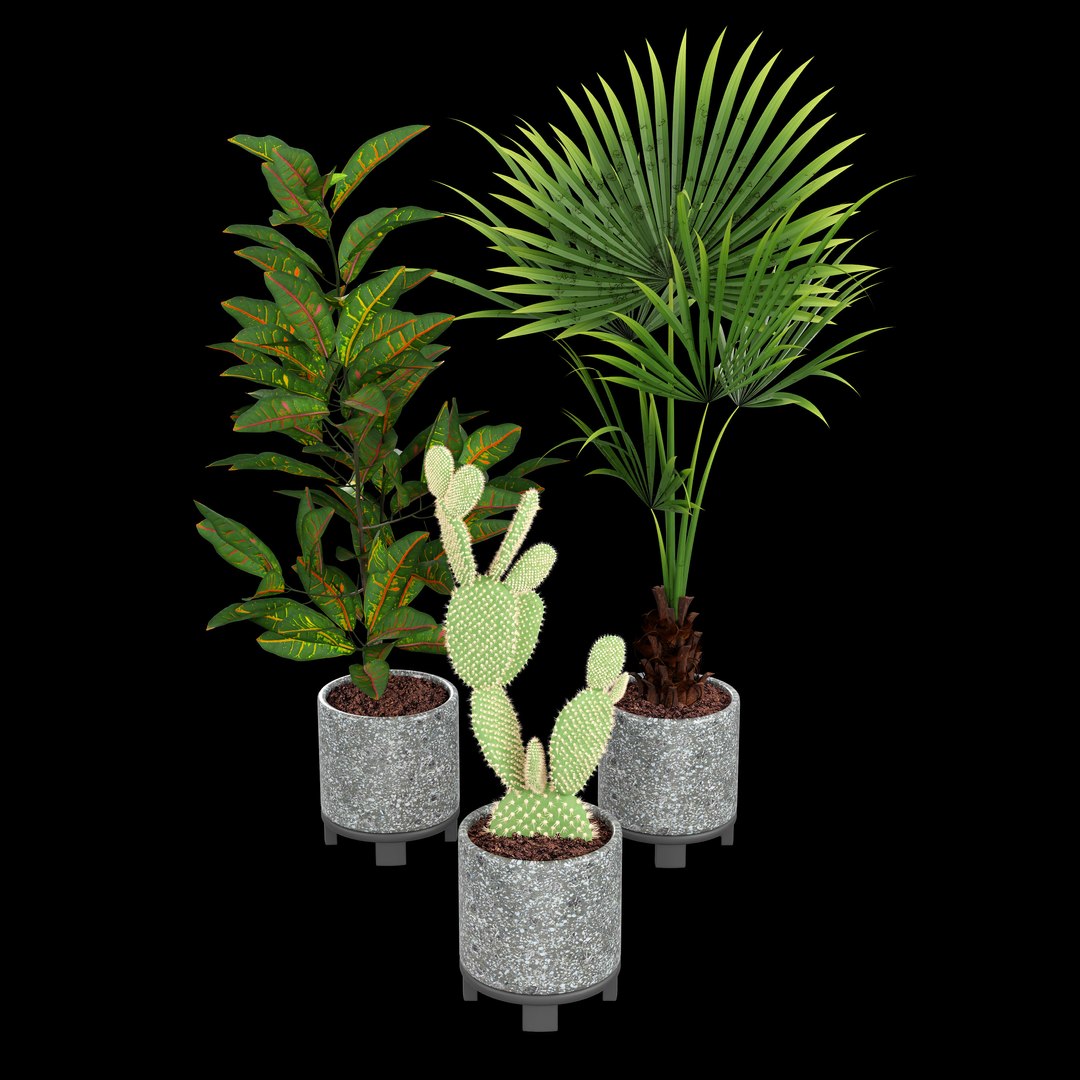 3D model indoor plant https://p.turbosquid.com/ts-thumb/J7/R50Gsv/cZ/0002/jpg/1746987697/1920x1080/fit_q87/6779b9a0d5a920b38d39bb4a4afa55c3538ee0c1/0002.jpg