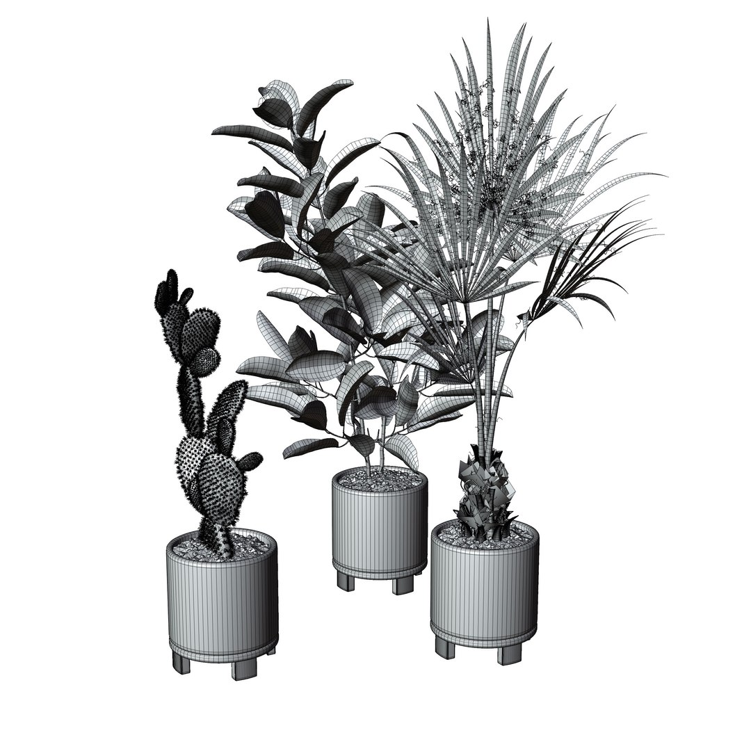 3D model indoor plant https://p.turbosquid.com/ts-thumb/J7/R50Gsv/kF/3/jpg/1746987742/1920x1080/fit_q87/9b0637517d2a5030a89d012bceba03ef62b66992/3.jpg