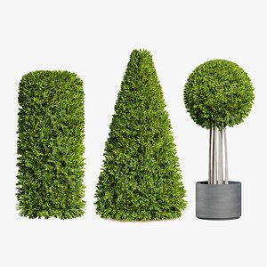 Geometric Bay Trees with Free Tutorial