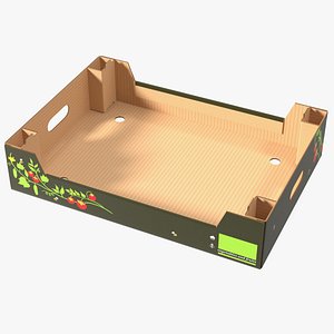 Cardboard Fruit Tray Box with Print 3D model
