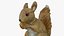 Squirrel Statue