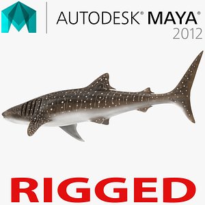 Whale Shark Rigged for Maya