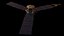 Juno Space Probe