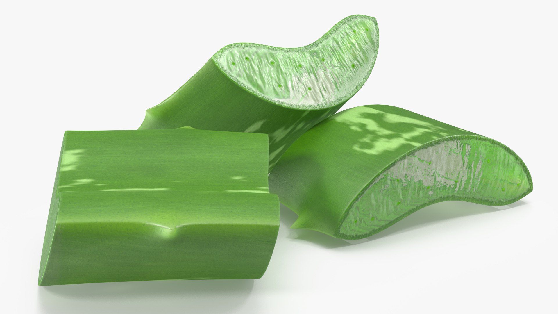 pieces aloe vera 3D model https://p.turbosquid.com/ts-thumb/J7/xnS9dL/2y/aloepieces3dsmodel006/jpg/1617083716/1920x1080/fit_q87/2ae89a991510e2e6ab919ea781a747bb8650cb2d/aloepieces3dsmodel006.jpg