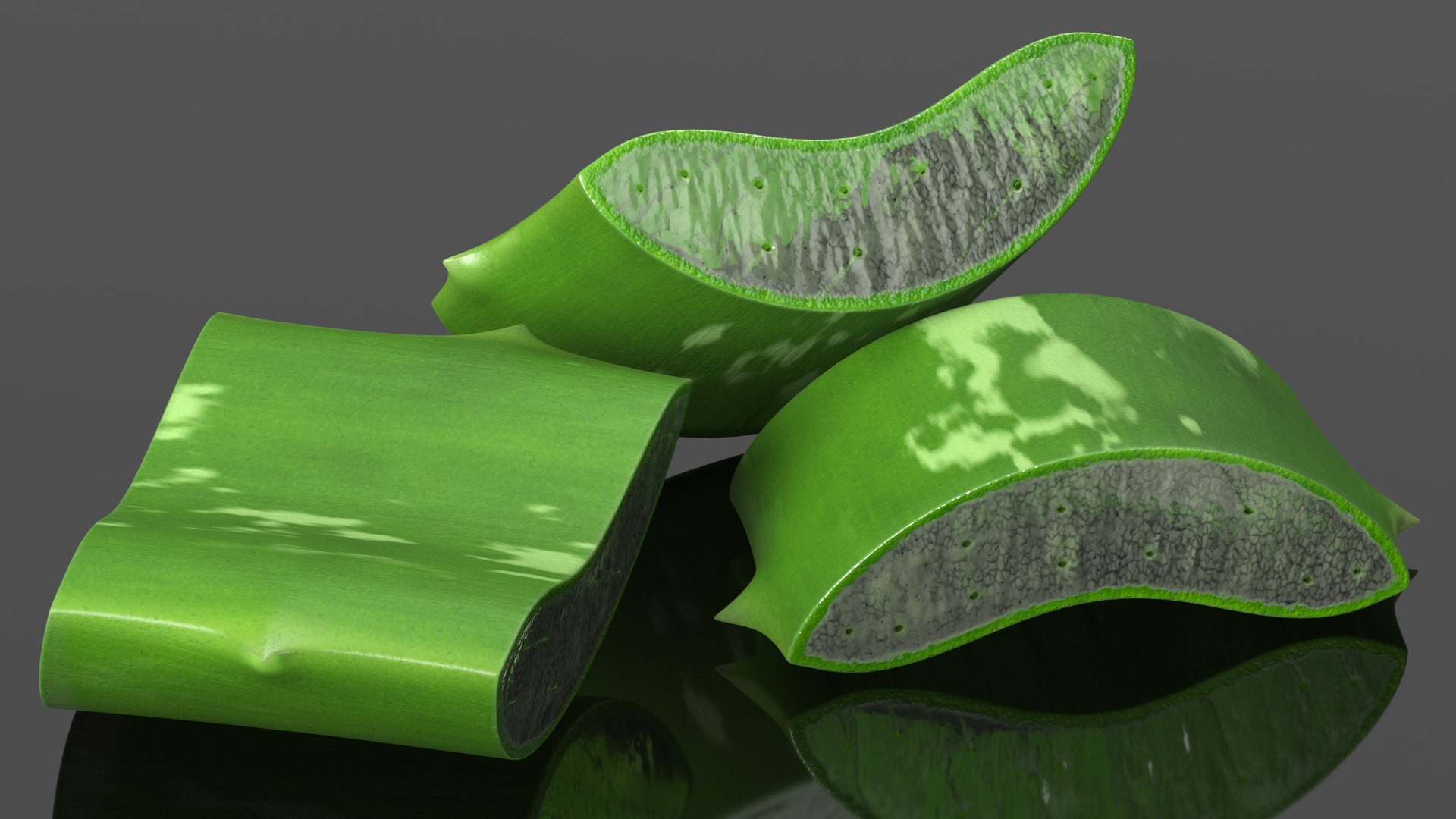 pieces aloe vera 3D model https://p.turbosquid.com/ts-thumb/J7/xnS9dL/3O/aloepieces3dsmodel005/jpg/1617083710/1920x1080/fit_q87/0eef6d751449f5d781e587c9d6eea511d8395593/aloepieces3dsmodel005.jpg