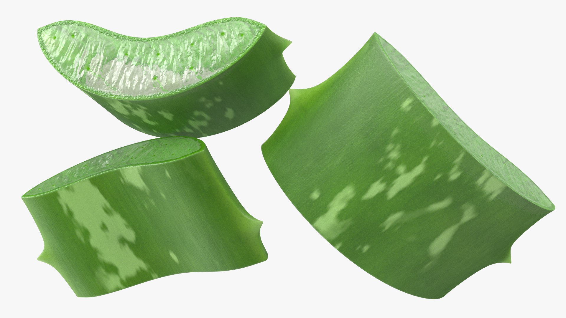 pieces aloe vera 3D model https://p.turbosquid.com/ts-thumb/J7/xnS9dL/PD/aloepieces3dsmodel011/jpg/1617083744/1920x1080/fit_q87/ceaf5b435d127d84c425f9dbf3898ee92e17c152/aloepieces3dsmodel011.jpg