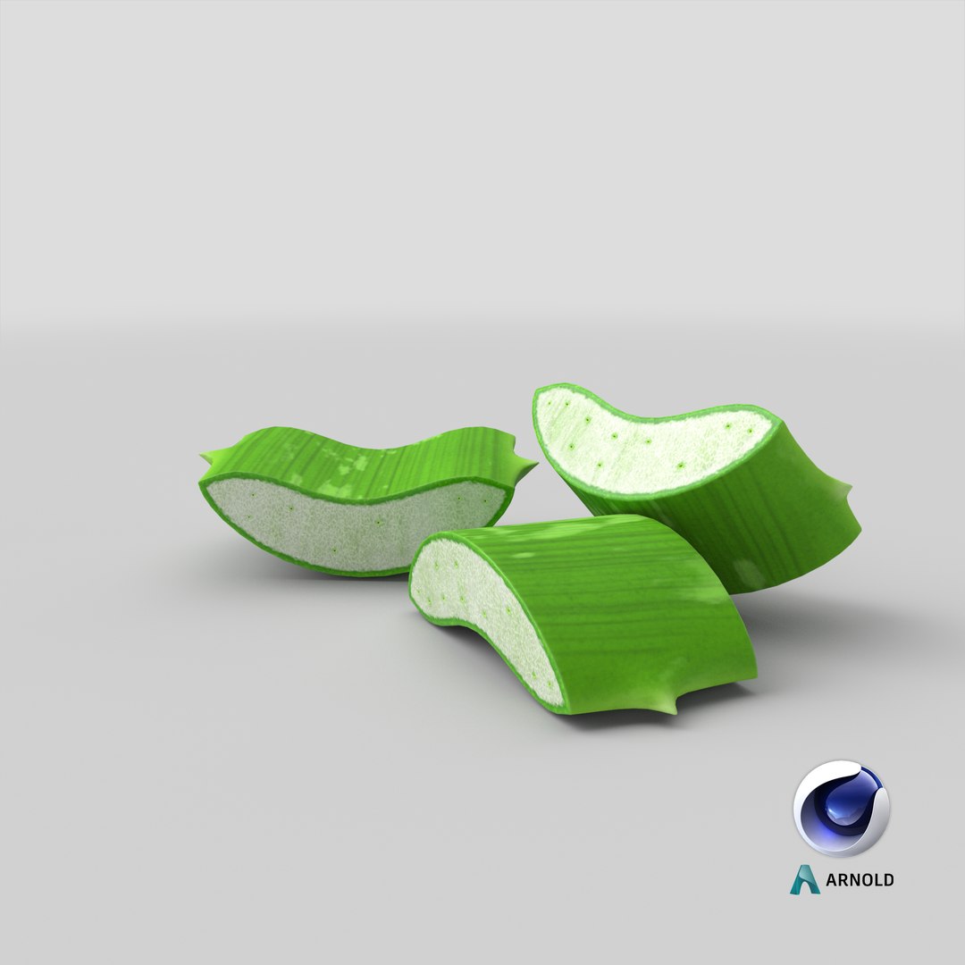pieces aloe vera 3D model https://p.turbosquid.com/ts-thumb/J7/xnS9dL/RQ/stemcell_cinema_4d_arnold_render/png/1643808134/1920x1080/fit_q87/30fee5adbe9d9bbac32d28a9ce627661fe7a235f/stemcell_cinema_4d_arnold_render.jpg