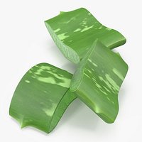 Aloe Pieces