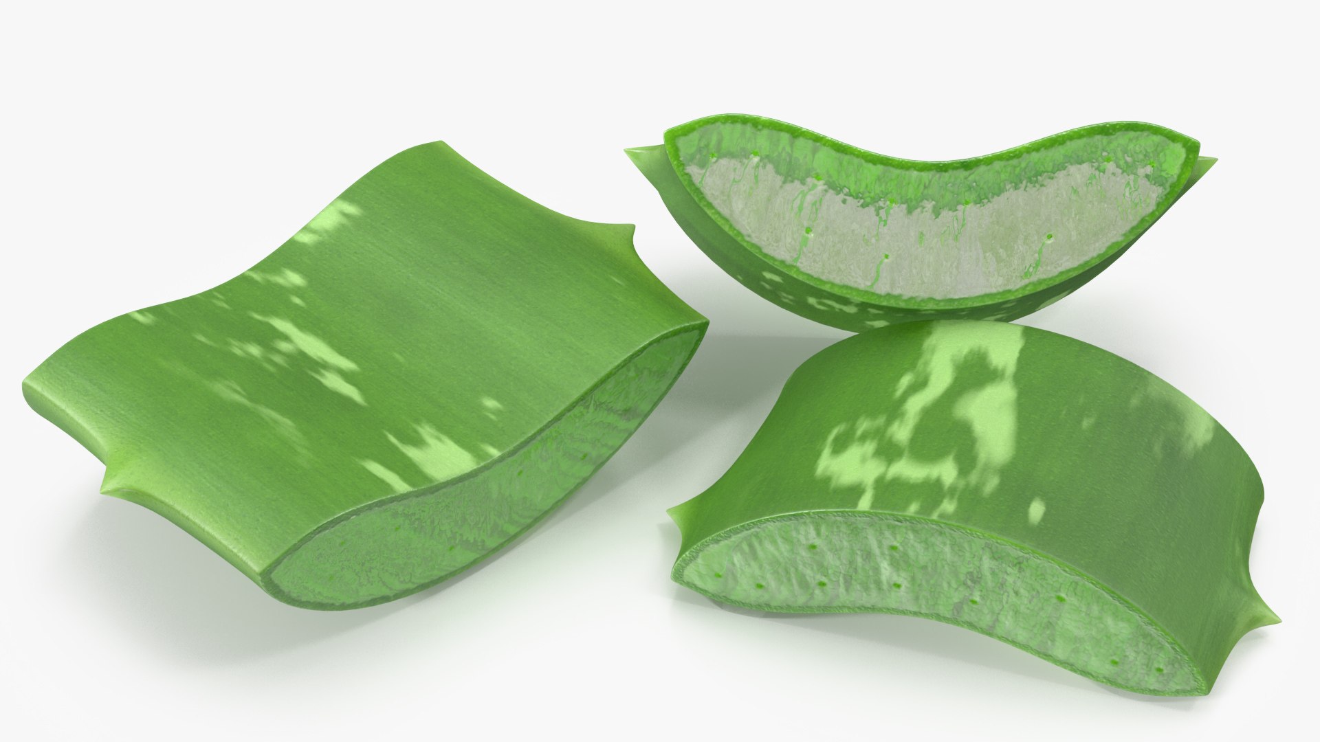 pieces aloe vera 3D model https://p.turbosquid.com/ts-thumb/J7/xnS9dL/ew/aloepieces3dsmodel008/jpg/1617083728/1920x1080/fit_q87/520ae11e0cea90158559ab62f9e3953068e1b42f/aloepieces3dsmodel008.jpg