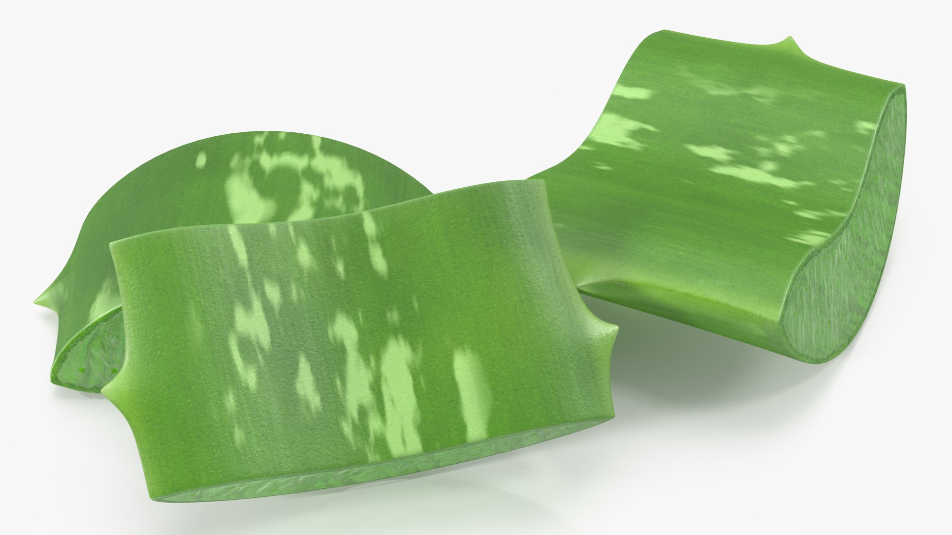 pieces aloe vera 3D model https://p.turbosquid.com/ts-thumb/J7/xnS9dL/fw/aloepieces3dsmodel009/jpg/1617083733/1920x1080/fit_q87/84c9102e0fdcb0dbe5aef2cc2037de4fc4dfc779/aloepieces3dsmodel009.jpg
