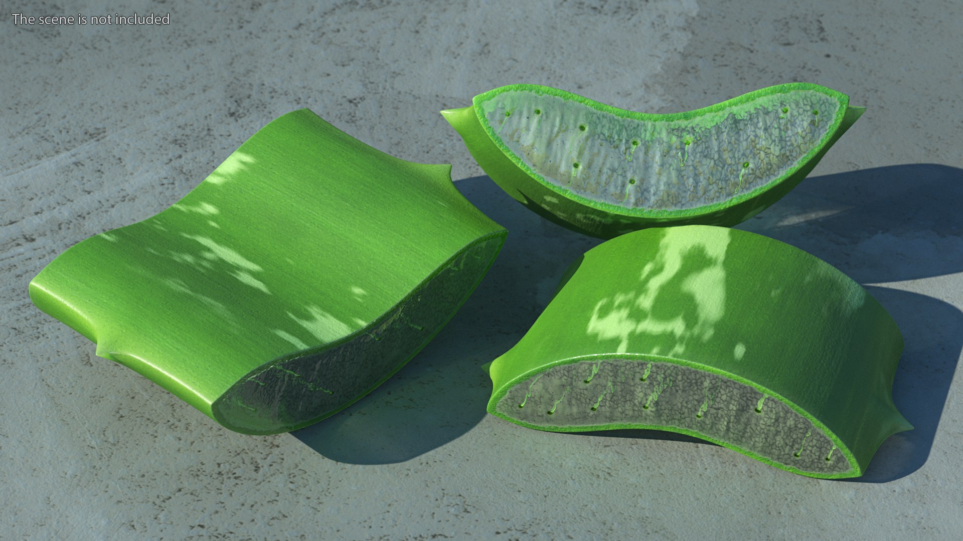 pieces aloe vera 3D model https://p.turbosquid.com/ts-thumb/J7/xnS9dL/z7/aloepieces3dsmodel002/jpg/1617083691/1920x1080/fit_q87/65f24e410aeb93daf742e84e7c772c1a4be2b987/aloepieces3dsmodel002.jpg
