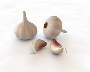 Garlic