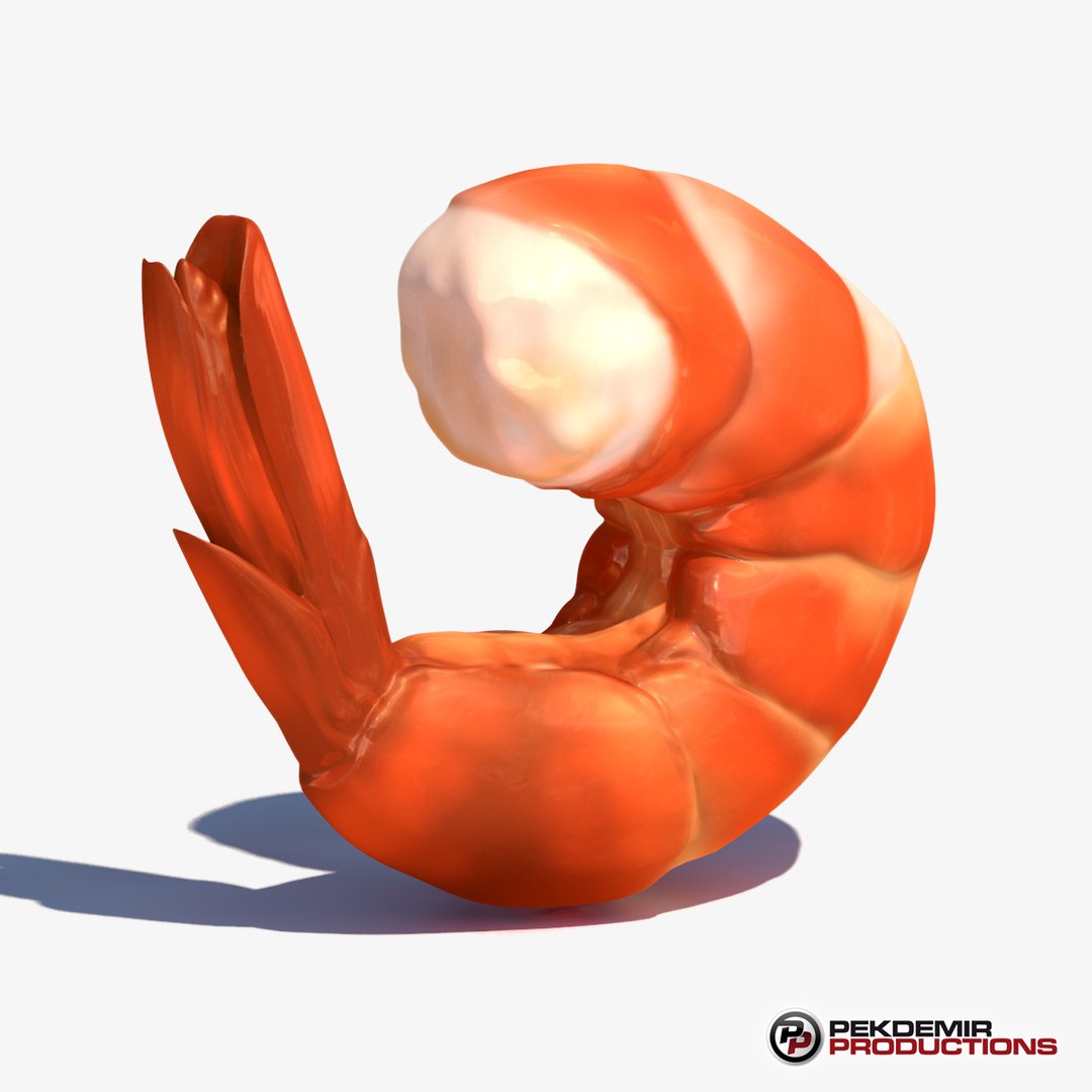 3d c4d shrimp https://p.turbosquid.com/ts-thumb/J8/4YWxsR/GCjqlSbG/shrimp_07/jpg/1394607944/1920x1080/fit_q87/2490b5d9e7698a0c028c0caa58e9e510395f7f7b/shrimp_07.jpg