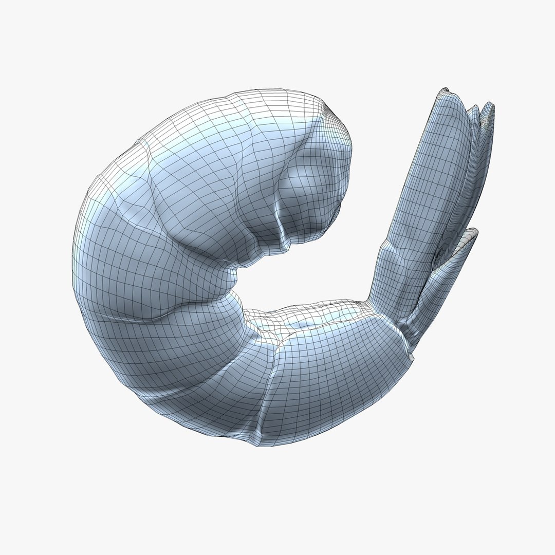 3d c4d shrimp https://p.turbosquid.com/ts-thumb/J8/4YWxsR/Gdr6aHRe/shrimp_wf02/jpg/1394607944/1920x1080/fit_q87/9bda26be08065c83b62d905c8bd411d03d5f9d02/shrimp_wf02.jpg