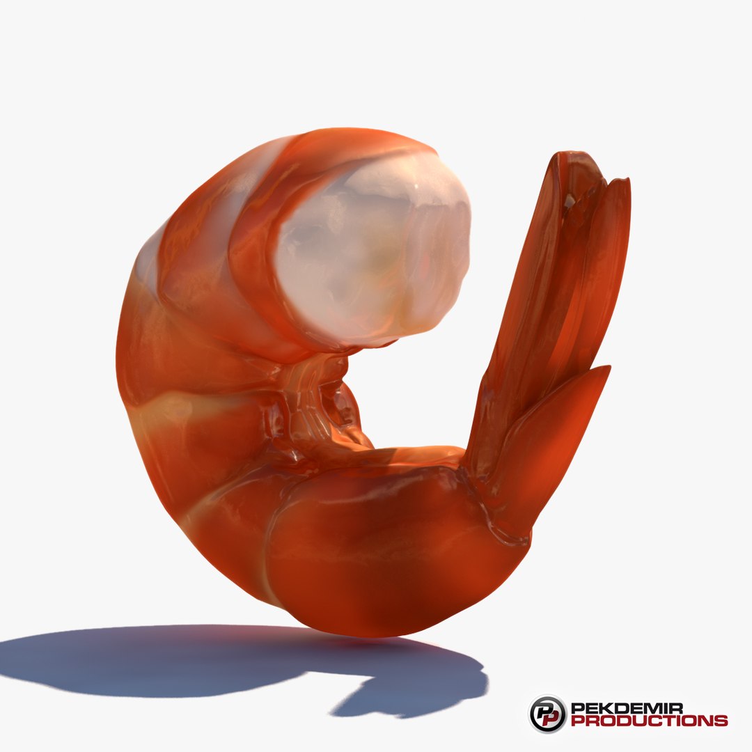 3d c4d shrimp https://p.turbosquid.com/ts-thumb/J8/4YWxsR/XuNfwfsk/shrimp_06/jpg/1394607944/1920x1080/fit_q87/0d3a3d0d6d005dde1f60d28cab55278513b5132a/shrimp_06.jpg