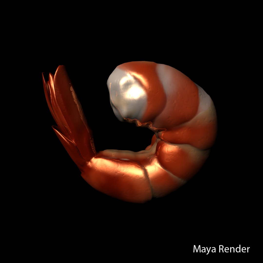 3d c4d shrimp https://p.turbosquid.com/ts-thumb/J8/4YWxsR/YCj3VhsQ/shrimp_maya/jpg/1395762053/1920x1080/fit_q87/87ab7df867ce5bc58dd6c079c0e5552a08c87e44/shrimp_maya.jpg