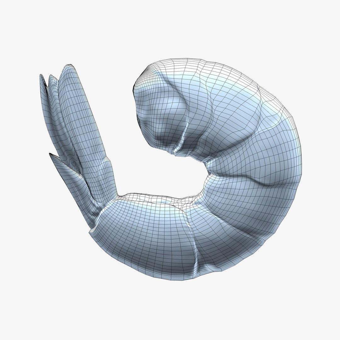 3d c4d shrimp https://p.turbosquid.com/ts-thumb/J8/4YWxsR/fO2gKK6m/shrimp_wf01/jpg/1394607944/1920x1080/fit_q87/8f7c1ebce621e8c9ac932ecc17bab112457c262e/shrimp_wf01.jpg