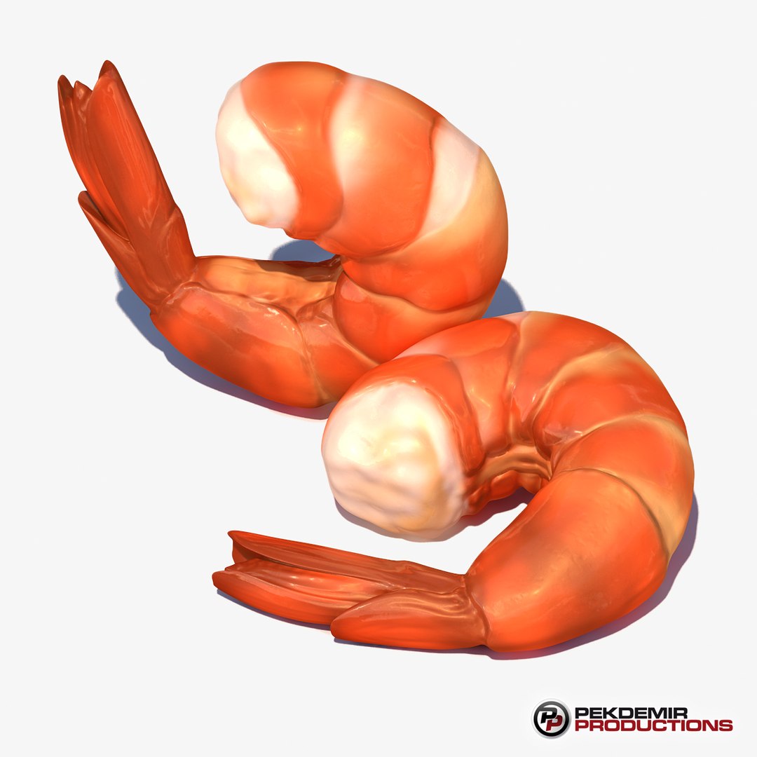3d c4d shrimp https://p.turbosquid.com/ts-thumb/J8/4YWxsR/nBO8xy56/shrimp_08/jpg/1394607944/1920x1080/fit_q87/150a678ffd6bce9afd4a8763f44a25edeedcdc5c/shrimp_08.jpg