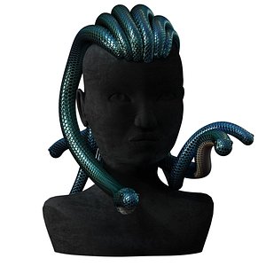 3D Medusa