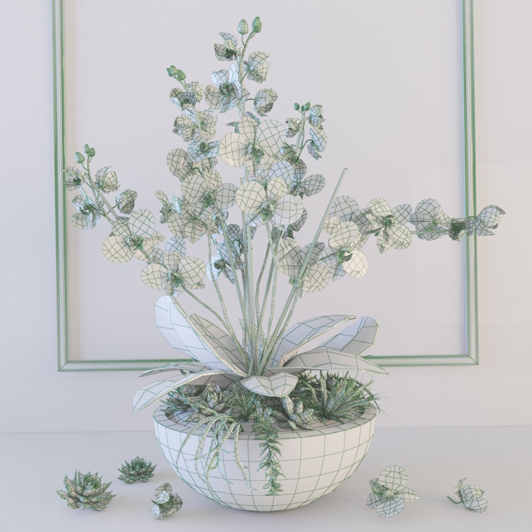 3d Orchid Model