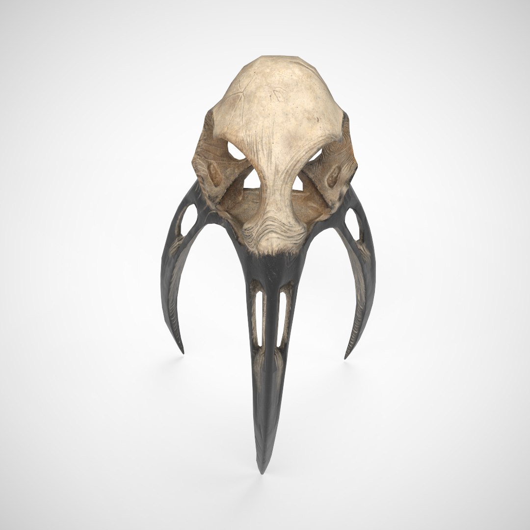 AlienSkull 3D Model - TurboSquid 2381650