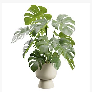 3D Monstera Deliciosa Beige Planter