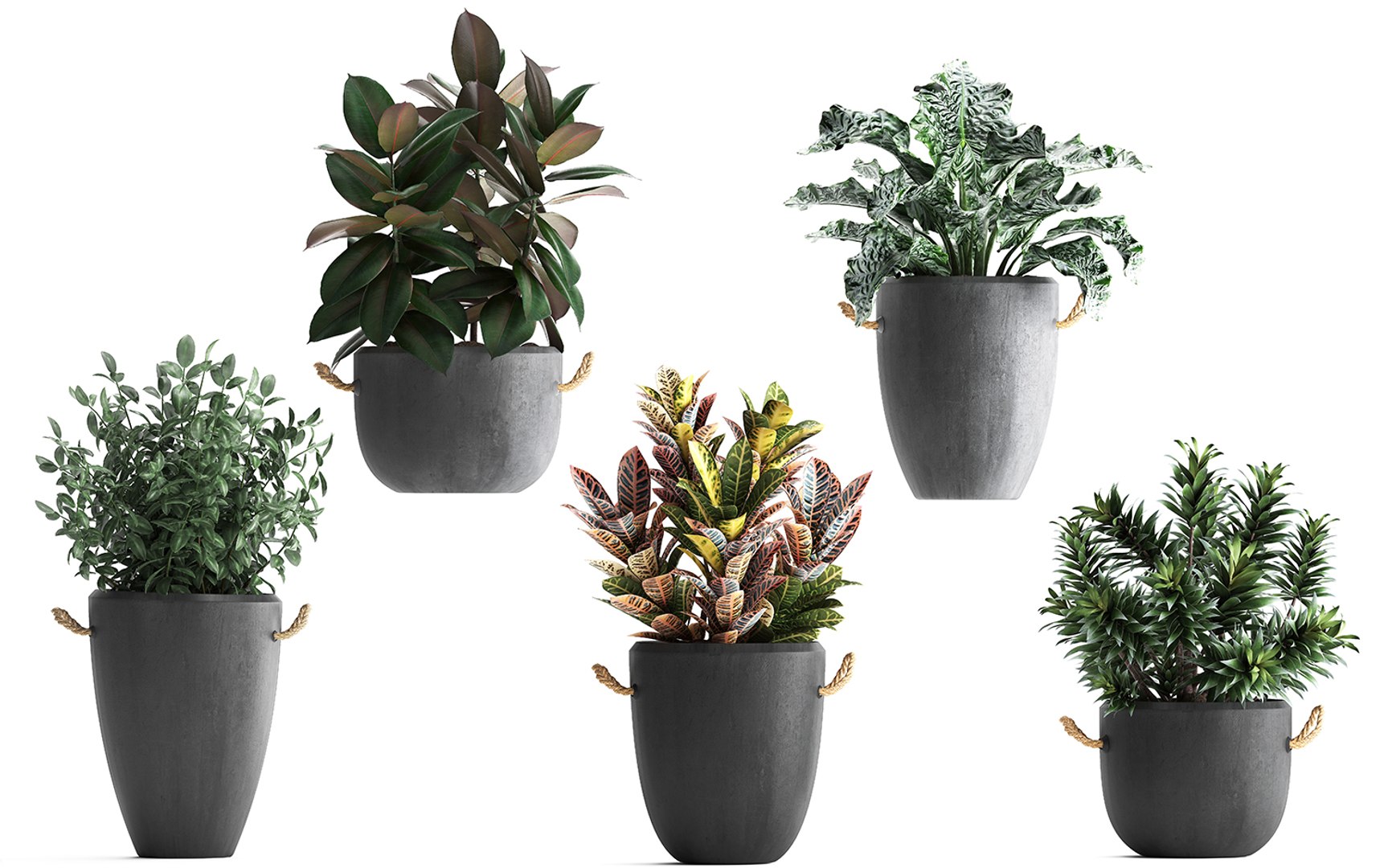 3D houseplants exotic plants - TurboSquid 1464116