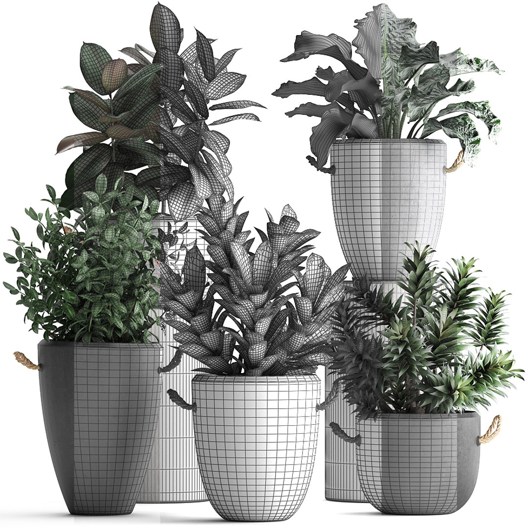 3D Houseplants Exotic Plants - TurboSquid 1464116