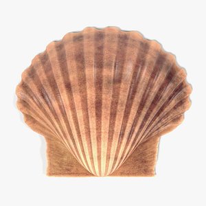 pecten fumatus 3d 3ds