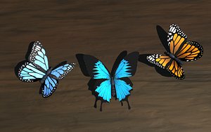 c4d butterfly wings