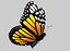 Farfalla low poly