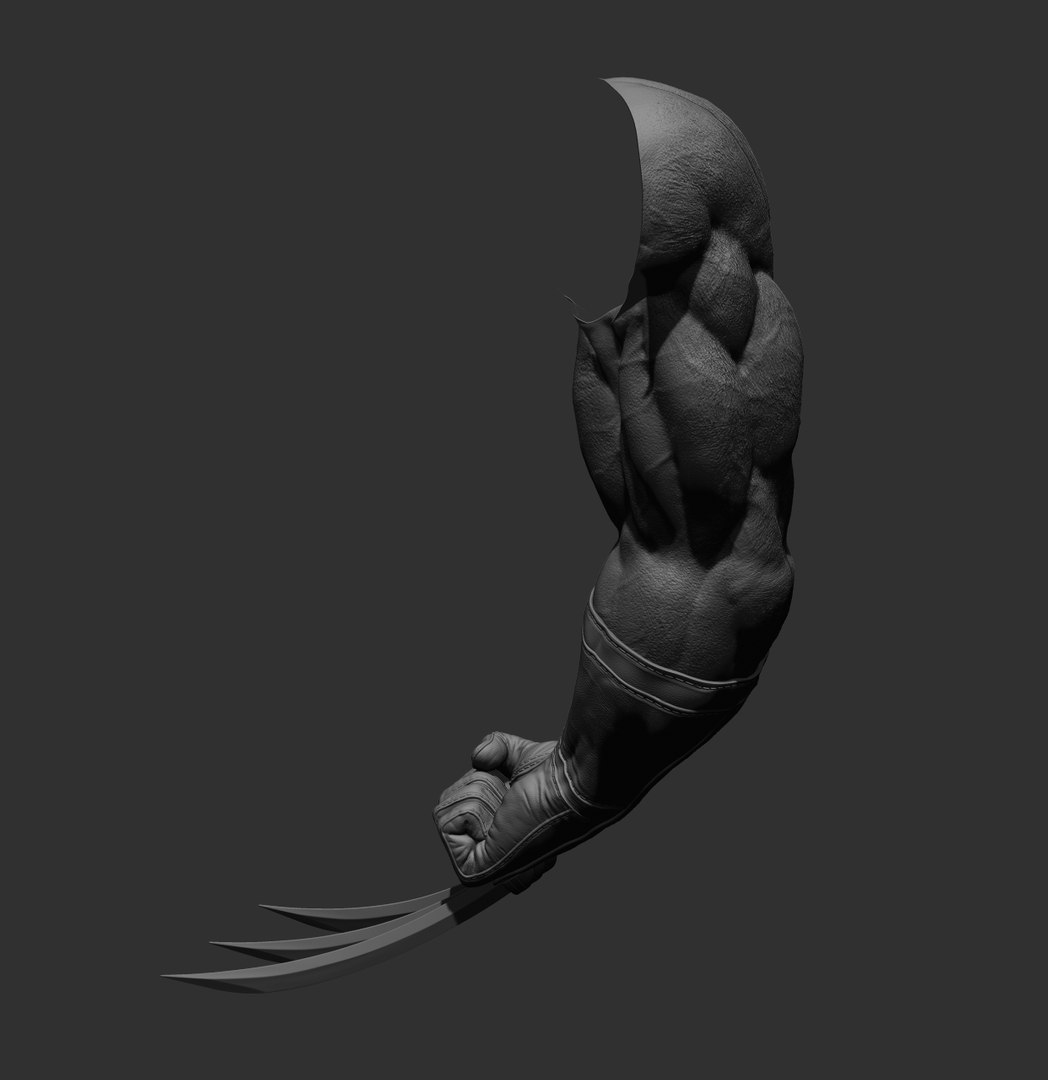Wolverine arm 3D model https://p.turbosquid.com/ts-thumb/J8/wZWn5x/BR/13/jpg/1636608991/1920x1080/fit_q87/7544dedadbca156f7d2dd2373e839b14f639a369/13.jpg